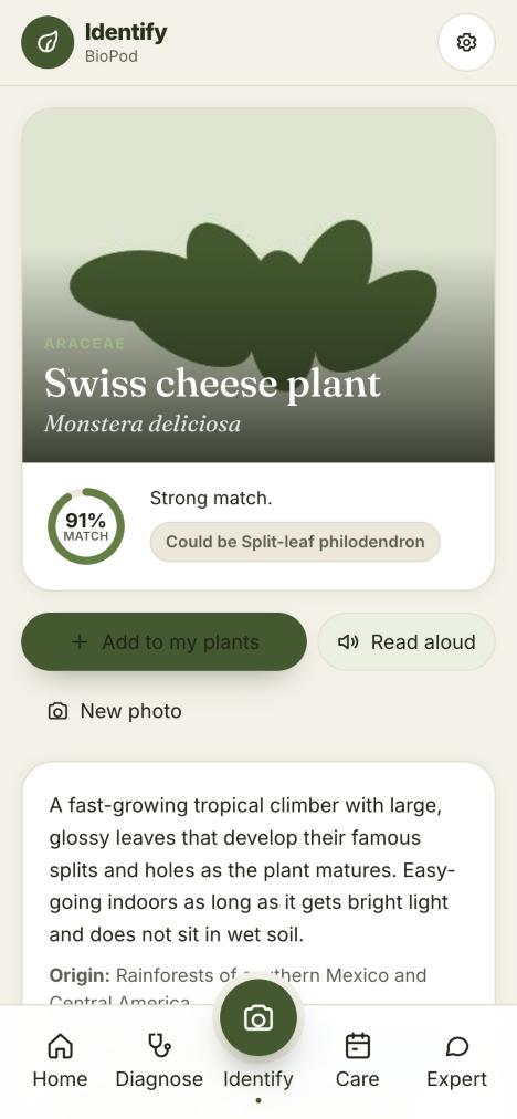 The BioPod app showing a plant it has just identified, with its care guide